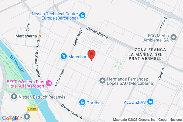 Fernandez Fisica f. J.