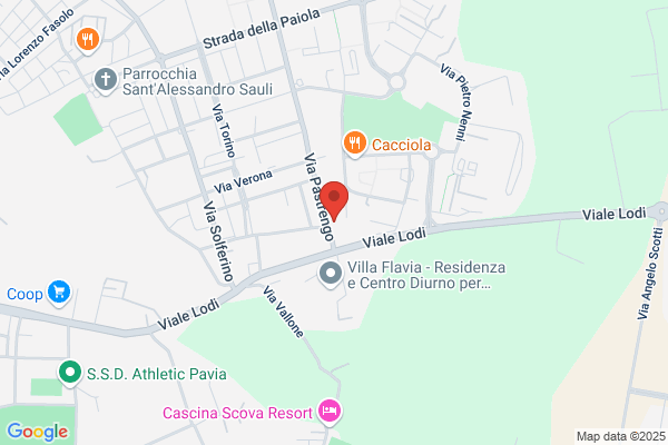 Cerdan Pavia s.
