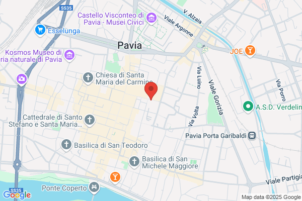 Pavia Torres s.