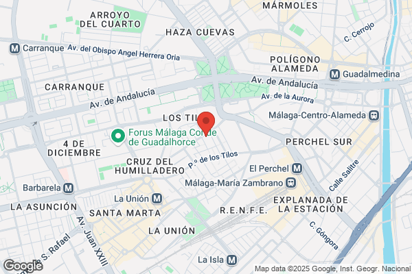 Alonso Cuervo r.