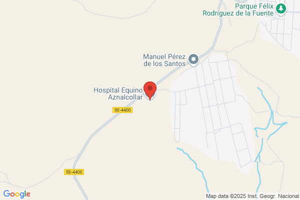 Aznalcollar hospital equino