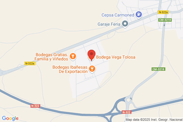 Bodega Vega Palancia