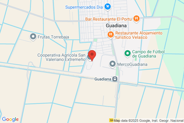 Agricola Del Guadiana S.A.