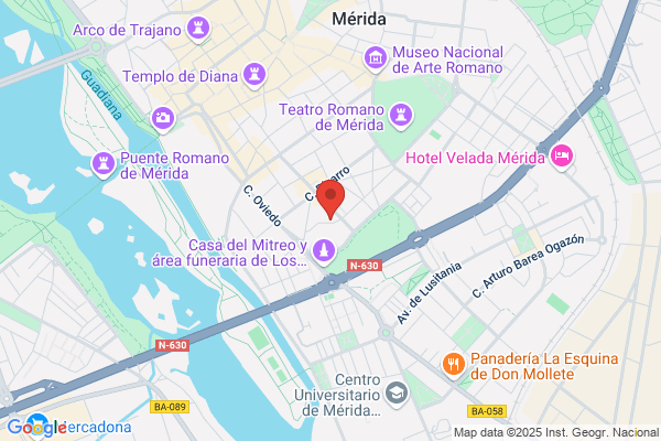 Federacion Extremeña De Gimnasia