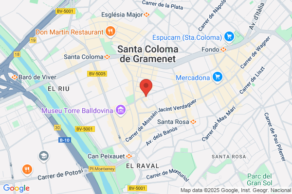 Transler Mon S.L.