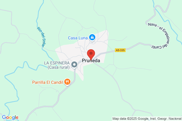 Pruneda Curto e.