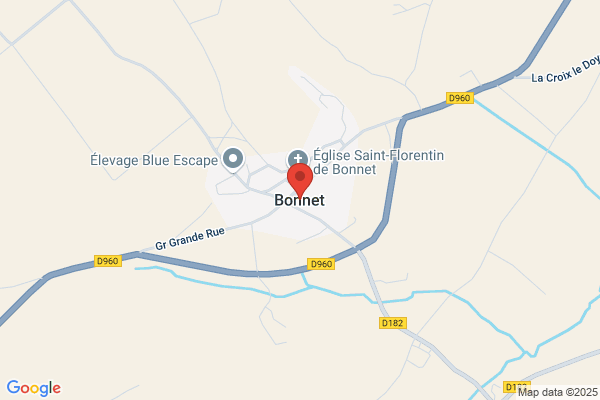 Bonet Ten a.