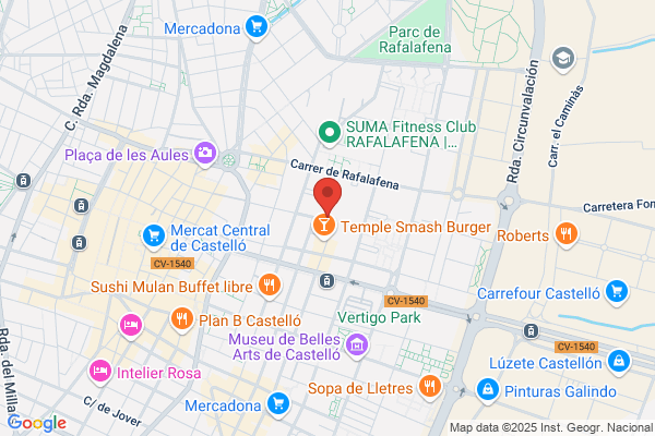 Balaguer Gonzalez j.