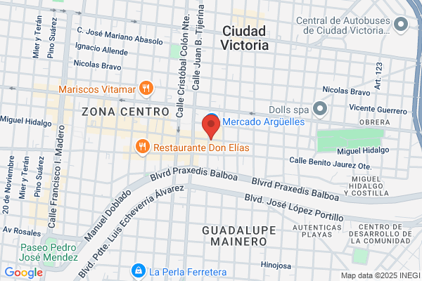 Hidalgo Obrero a.