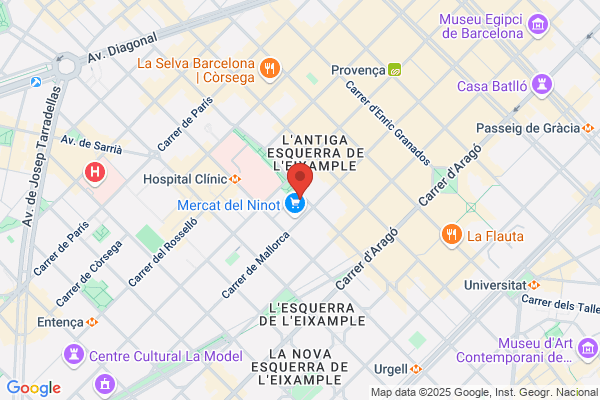 Alonso Valles l.