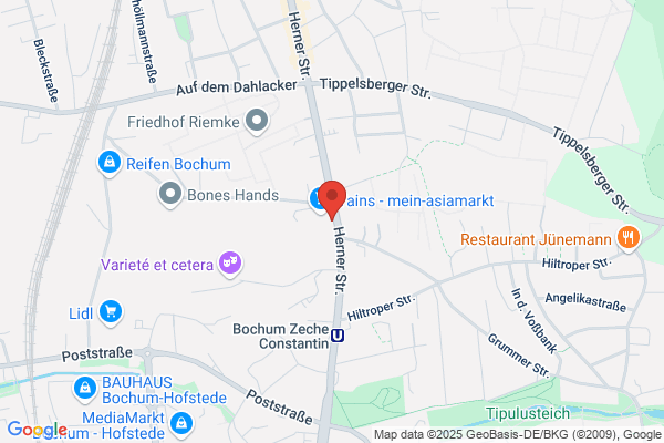 Gimenez Arnalte t.