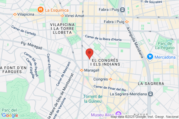 Servicios Organizados de Seguridad, SL