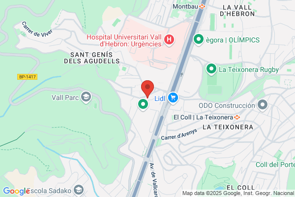 Associacio Per Lajuda I Divulgacio De Lagorafobia camins oberts
