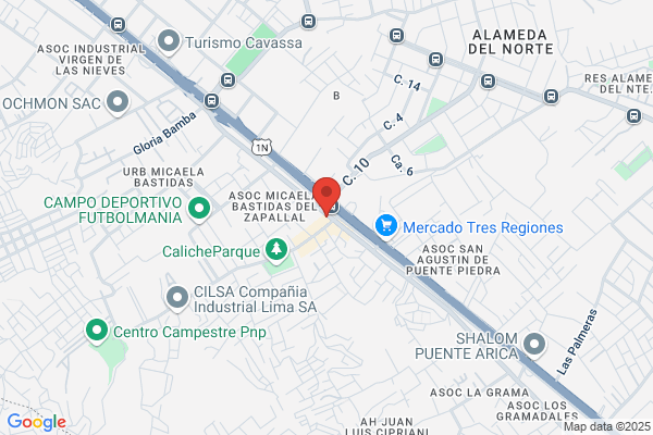 Instituto Vesalio S.L.