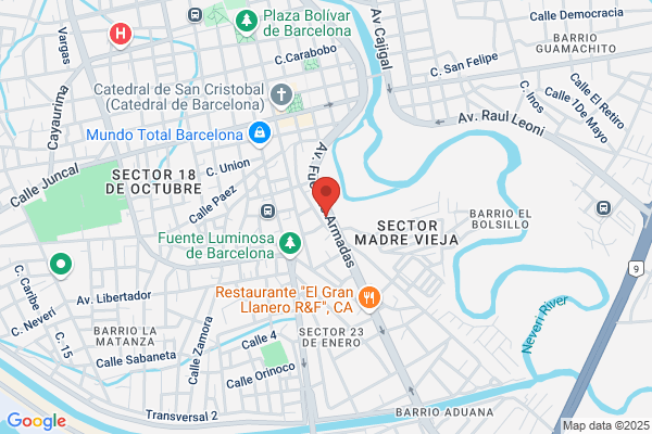 Seaalizacion Y Accesorios Del Automovil