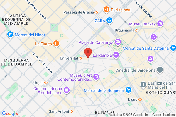 Academia De Holandes - Felix Oorthuis