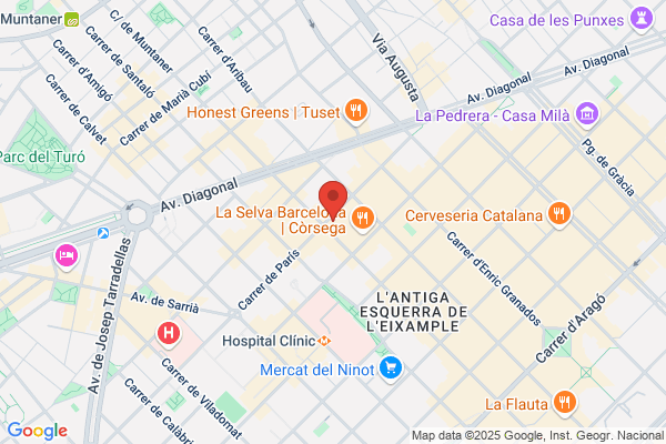Lenvi Idiomas