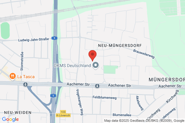 Pfeifer Und Langen