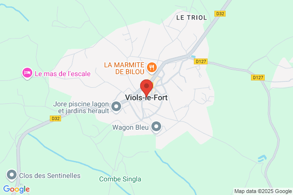 Fort Viñals e.