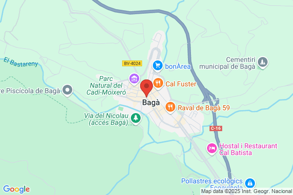 Baga Cort a.
