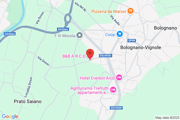 Arco Lozano b.