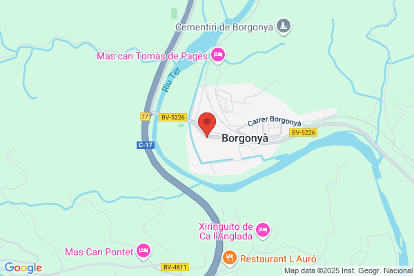 Planchados Industriales Borgonya