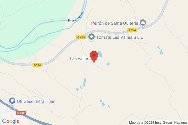 Vallespin Hijar r. A.