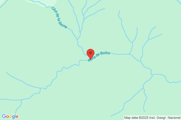 Boilos Riera a. D.