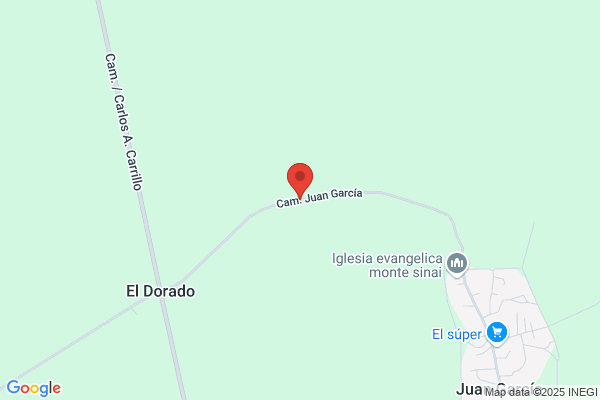 Camino Garcia j.