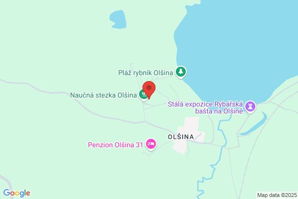 Olsina Pavia j.