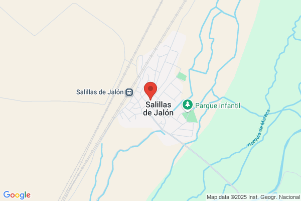 Gonzalez Salillas p.