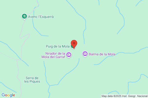 Puig Muñoz f.