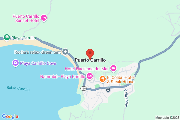 Carrillo Bosque i.