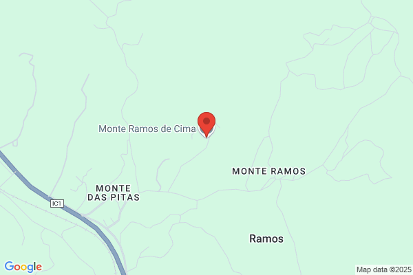Ramos Cimas a.
