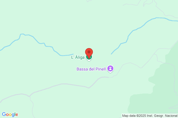 Aligas S.Ccl