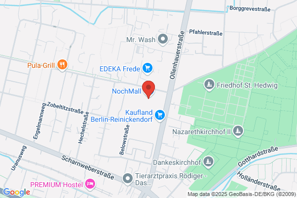 Ana Fajarnés