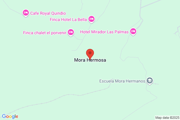Hermosa Mora p. De La