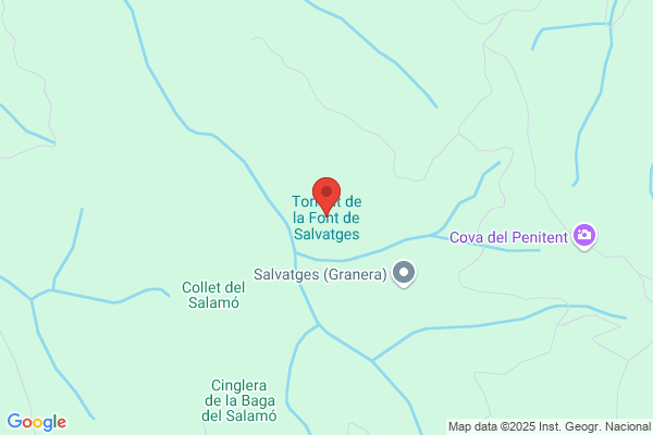 Salvado Torrent r.