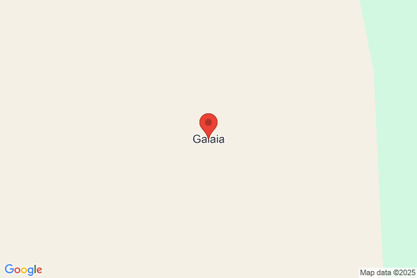 Gallaya dia