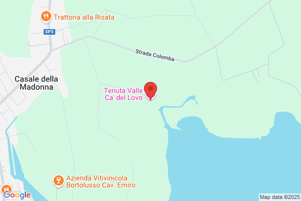 Carlino Vigna c.