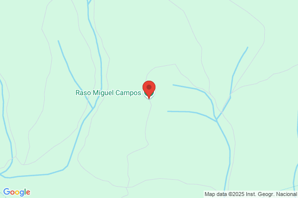 Campo Miguel a. L. Del