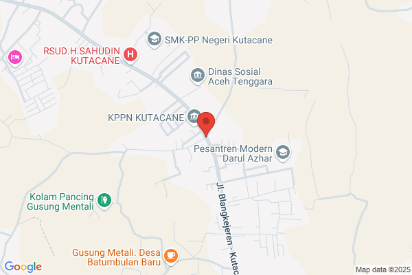 Enrique Vallilengua Manzanares Y Otro S.Cv.