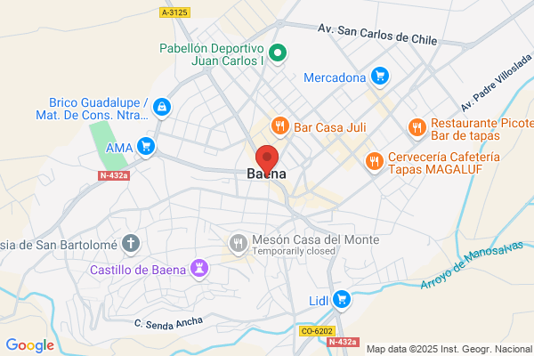 Transportes Viudes Baena S.L.