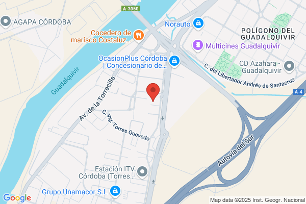 Servicio Opel