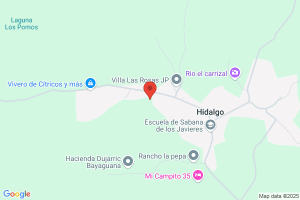 Villa Jimenez r.