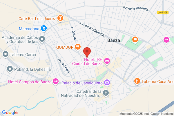 Bodega Meson Puerta Del Sol - Cocina variada esp Solomillo P Del Sol