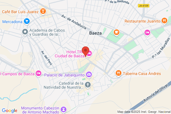 Ruiz Anguis s.