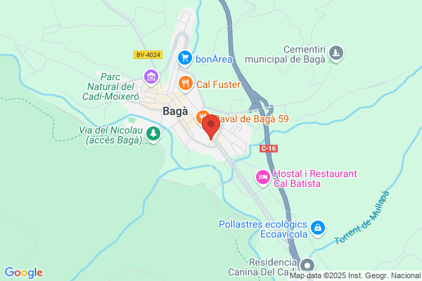 Baga La Pineda S. L.