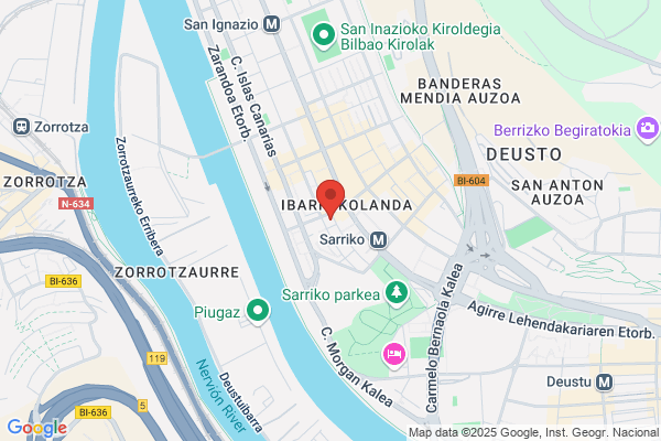 Bosch Car Service Talleres Elimotor Sarriko