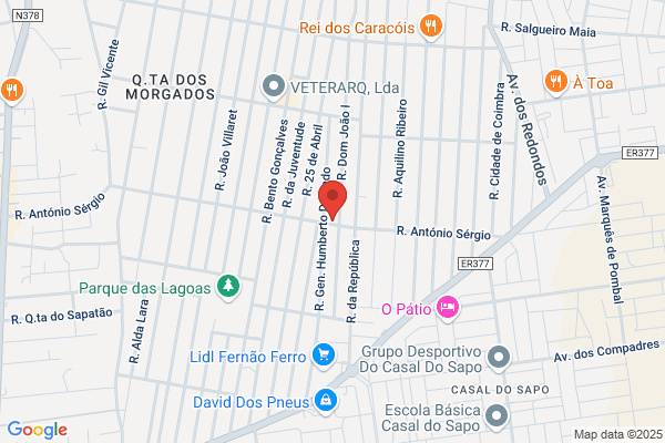Araujo Ferro b.